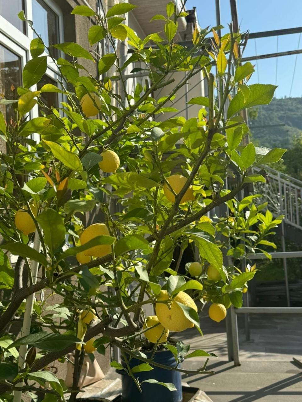 Hotel Center Goris Zewnętrze zdjęcie